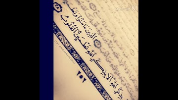 سورة الرعد الآية 28 | صوت هزاع البلوشي
