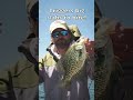 Best Lure For Spring Time Slab Crappie?