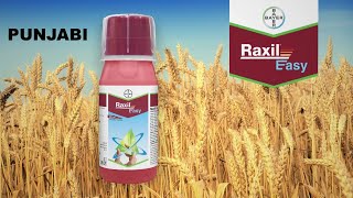 ਗੇਹੁ ਦਾ ਬੀਜ ਇਲਾਜ, ਰੈਕਸਿਲ ਈਜ਼ੀ ਦੇ ਨਾਲ | Punjabi | Wheat seed treatment with Raxil Easy