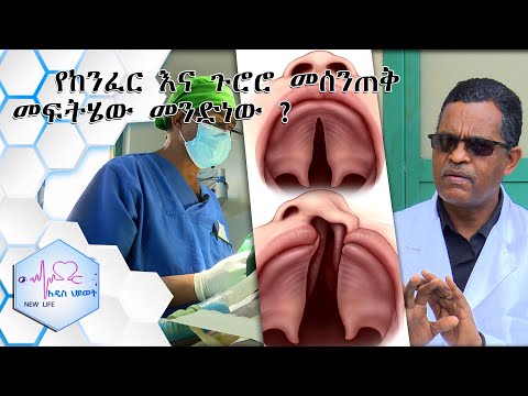 ቪዲዮ: የዘውድ የሀሞት መበስበስን መቆጣጠር -የ Rose Shrubs ክሮውን ሀሞትን ማከም