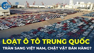 Hàng loạt Ô tô Trung Quốc TRÀN SANG Việt Nam, chật vật bán hàng? | CafeLand