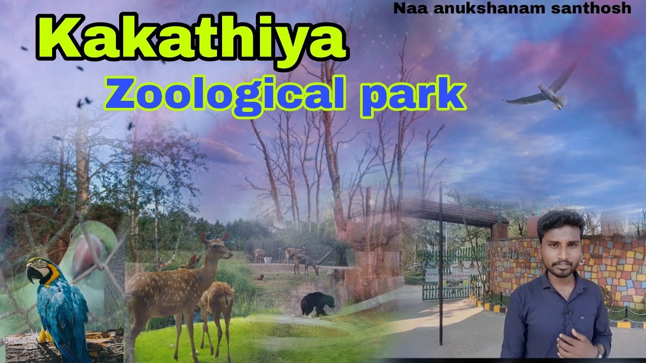 Discover the Hidden Gems of Kakathiya Zoological Park Warangal Zoo