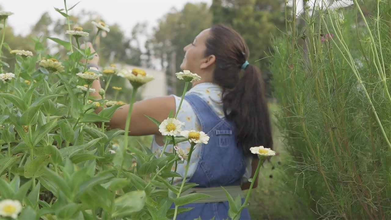Can YOU Grow Flowers In The HEAT? Florida Flower Garden Tour