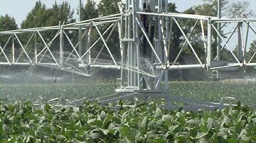 Irrigation Techniques For Soybeans