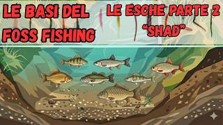 Le basi del foss fishing e del light game nei canali. Le esche parte 2, "SHAD".