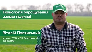 Віталій Полянський, агроном по захисту рослин ТОВ «АПК Докучаєвські чорноземи»