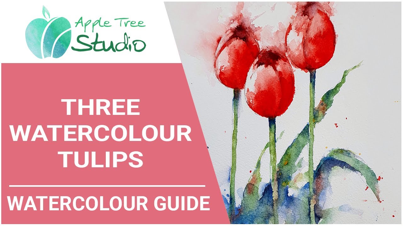 How to paint three watercolour tulips