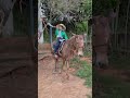 Gratidão ao apoio da comitiva Só Muares de Rio Verde Go