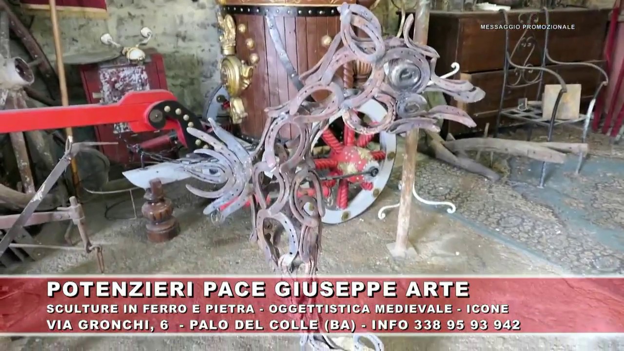 servizio teleregione