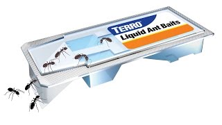 TERRO Liquid Ant Bait