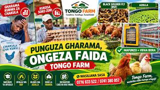 HABARI NJEMA KWA WAFUGAJI WOTE WA KUKU!
