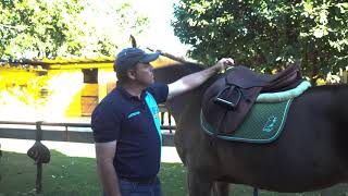 AULA EQUESTRE - COMO ENCILHAR O CAVALO