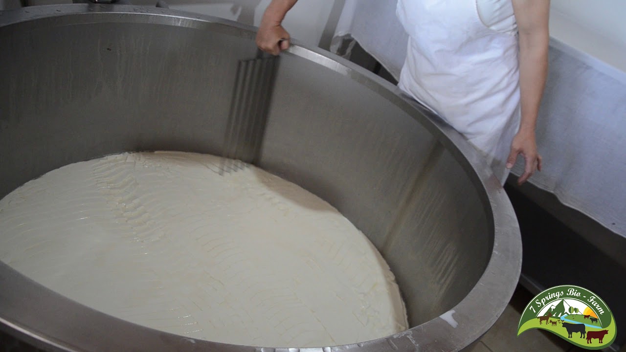 The process of making white goat cheese at "7 Springs Bio Farm"