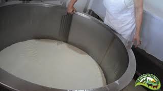 The Process Of Making White Goat Cheese At 7 Springs Bio Farm