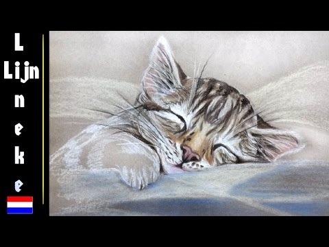 Video: Hoe Om Katte Met 'n Potlood Te Teken
