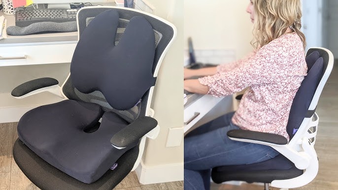 Sleepavo Memory Foam Seat Cushion & Lower Back Pain Relief Padded Lumbar  Support & Reviews