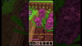 RAiting mods 2