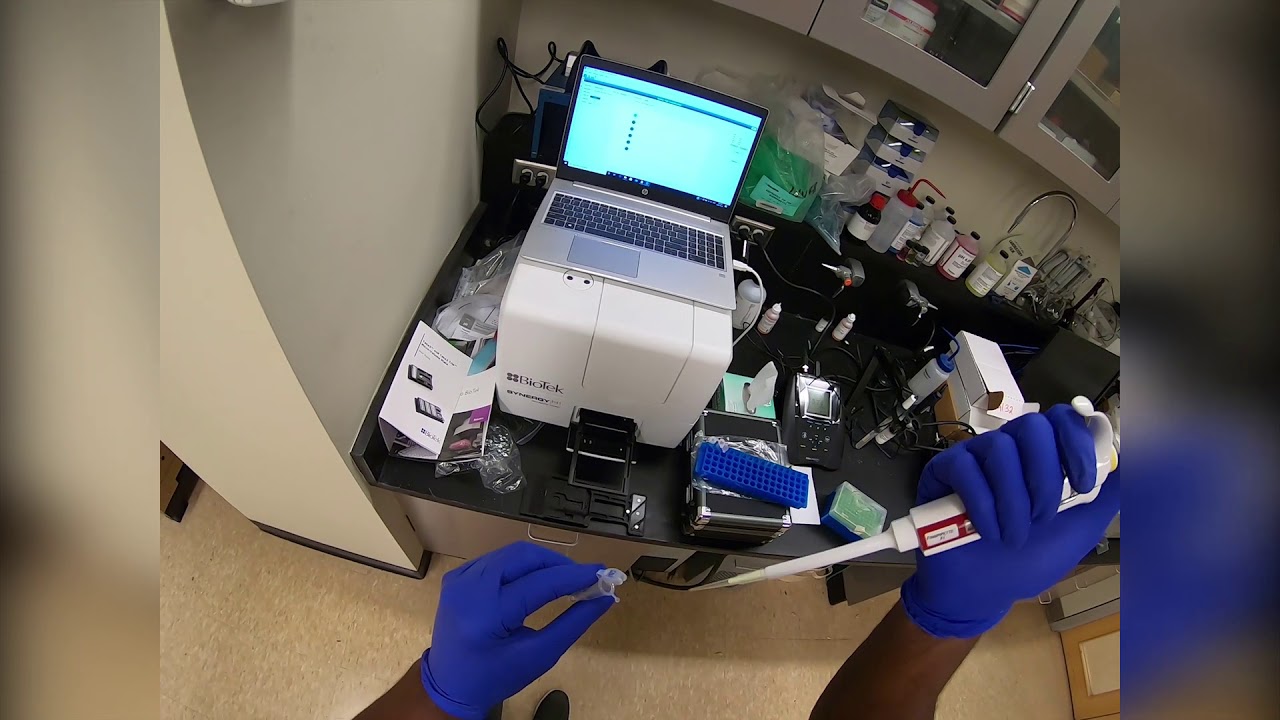 BioTek Synergy H1 Microplate Reader Demo - YouTube