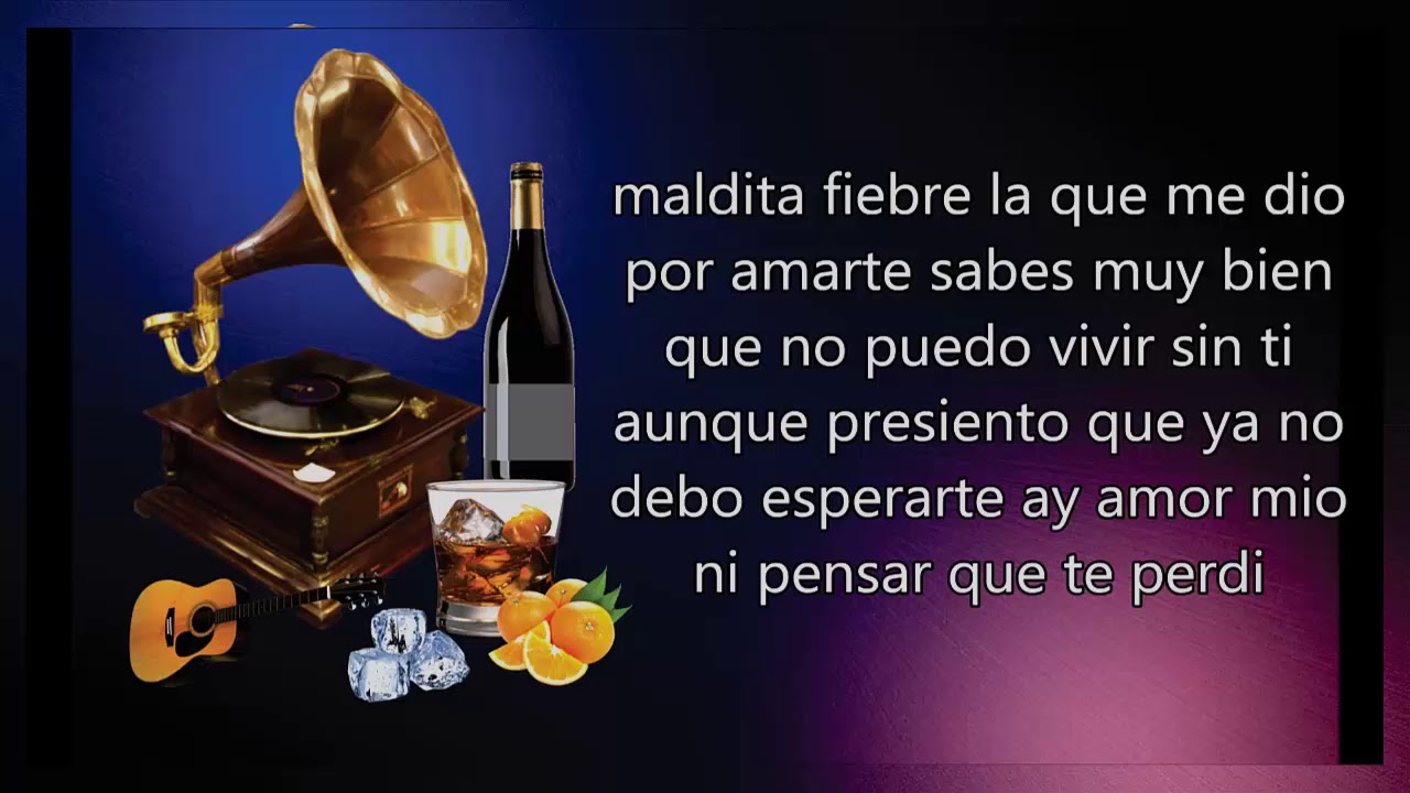 LETRA - Fiebre De Amor - Dario Gomes