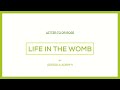 Letter to Life in the Womb 👩‍⚕️🙌💫All the way from Nigeria