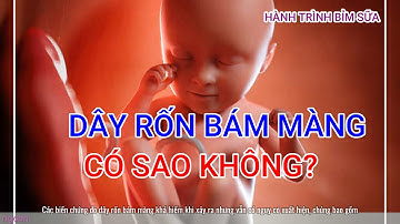 Dây Rốn Bám Màng Có Nguy Hiểm? | Hành trình bỉm sữa
