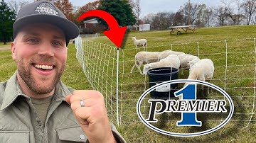 All You Need to Know to Set Up Premier 1 Electric Netting