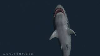 3DRT-Sharks-Jaws-3d-lowpoly-pack-demo.avi