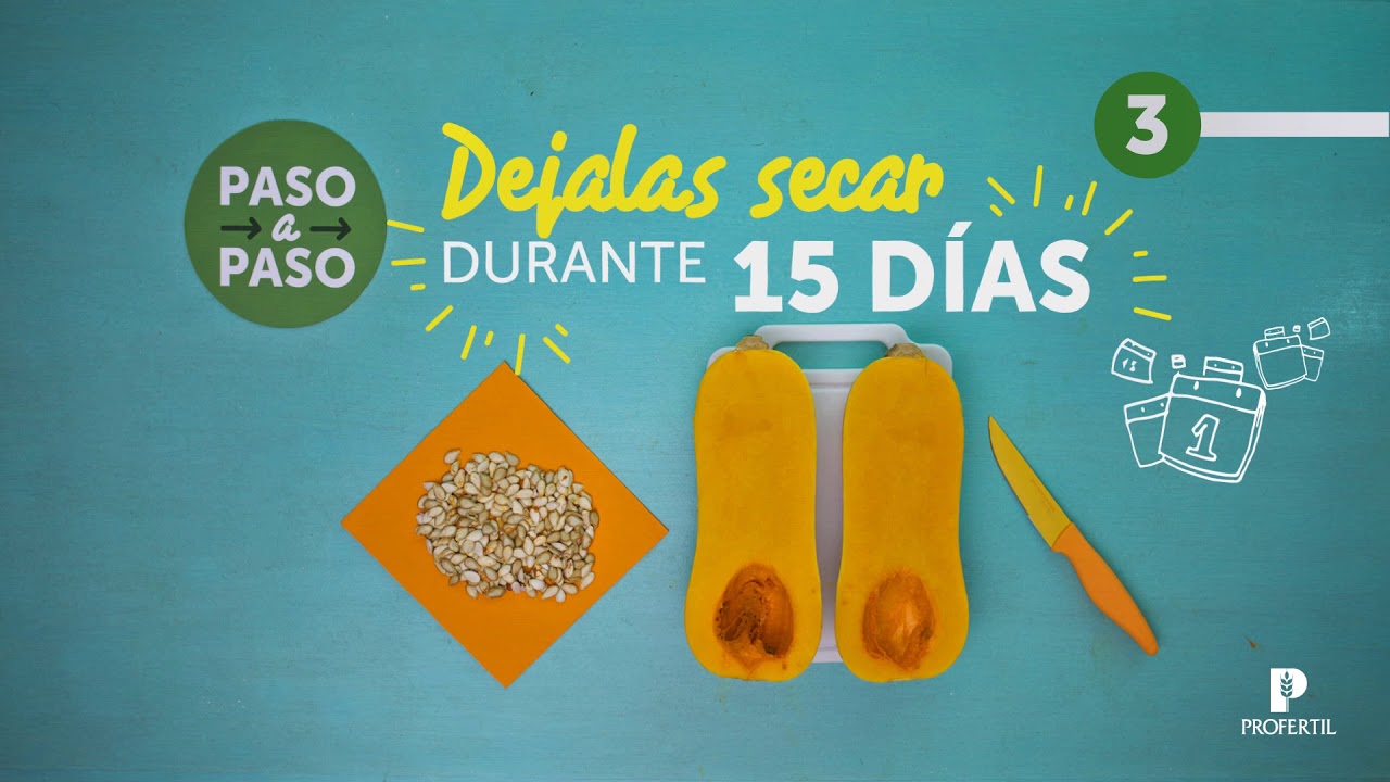 Recetas Huertas SEMILLAS | Profertil video phone beyonce mp3