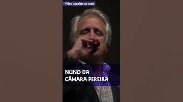 🎵 Nuno da Câmara Pereira 🎵 Cavalo Ruço