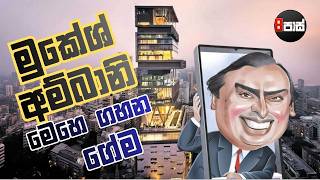 8 P Jokes මකශ අමබන මහ ගහන ගම 2026.02.13