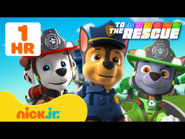 Nick Jr Clips 60 MINUTES of the Best PAW Patrol To The Rescue Moments! 🚒 w/ Chase ...