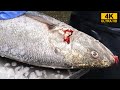 簡易版！宮崎の怪魚オオニベを凄腕仲買人が捌くだけ！！