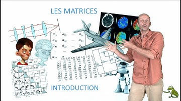 Les Matrices : introduction