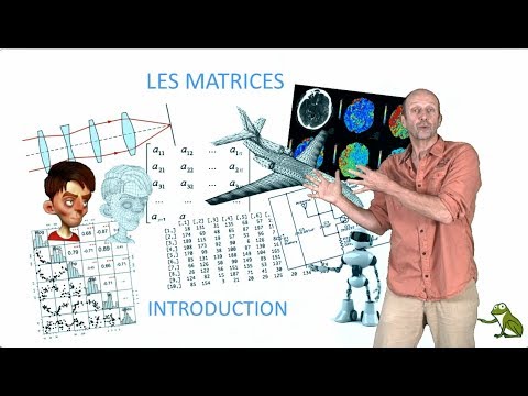 Vidéo: Que Sont Les Matrices