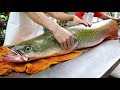 Thai Food - GIANT RIVER MONSTER Amazon Fish Ceviche Bangkok Seafood Thailand