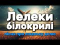 Лелеки білокрилі пісня про людську долю Olexandr Patsiora Official Lyrics Video 