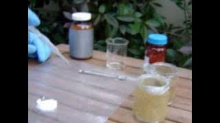 Le serpent du pharaon