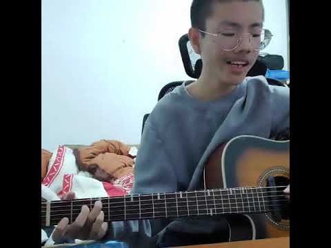那英 夢一場 Acoustic/Guitar Cover