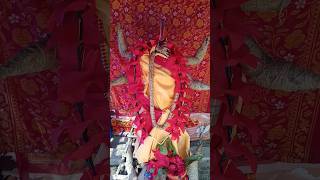 Jano Maa Amie Valo Nei