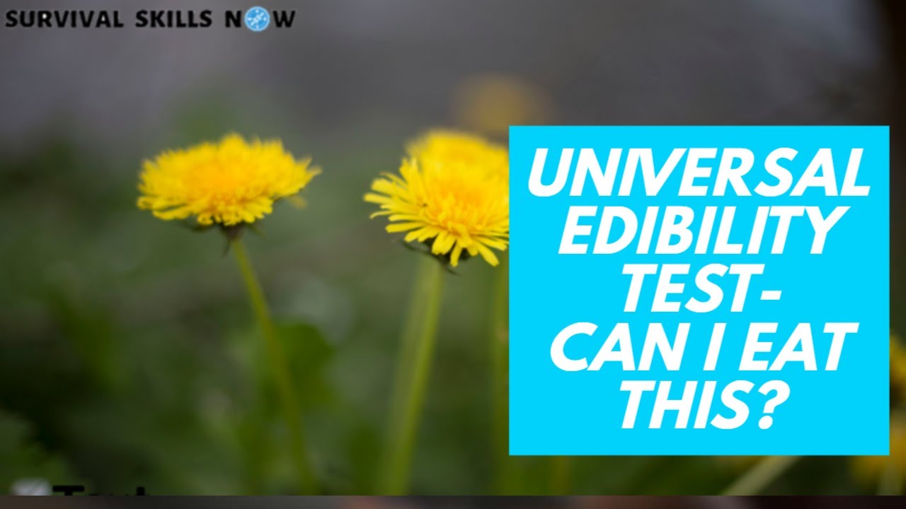 The Universal Edibility Test- Can I Eat This?