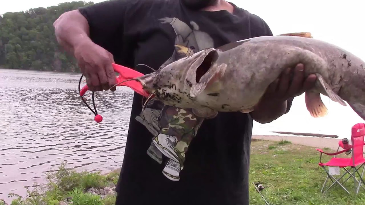 watch your poles when catfishing YouTube