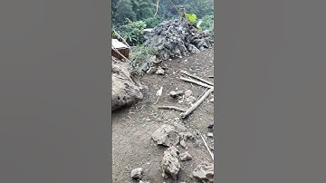 leej twg nyiam qaib dib os