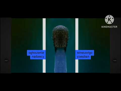 TVP SERIALE OGŁOSZENIE NADAWCY ZAPAŁKA EFFECTS 