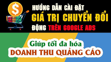 Hướng dẫn cài đặt giá trị chuyển đổi đơn hàng giúp tối ưu hóa doanh thu quảng cáo Google Ads