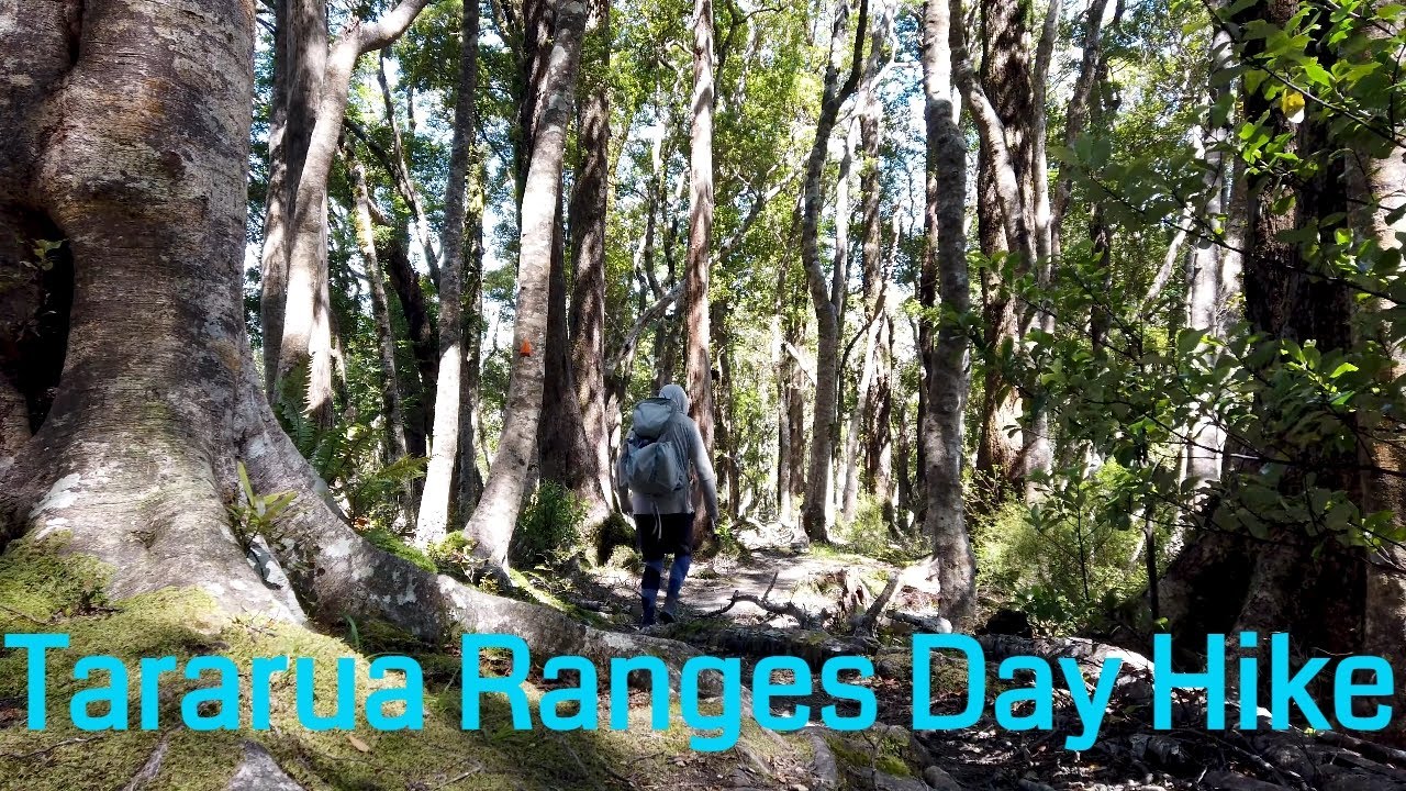 Massive New Zealand Day Hike | Classic Tararua Ranges Tramping - YouTube