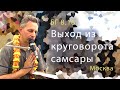 2019-03-31 - БГ 8.16 - Выход из круговорота самсары (Москва)