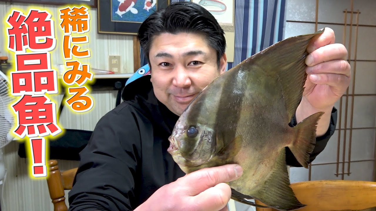 レア魚を5日間熟成させて『あの方たち』に食べてもらいました