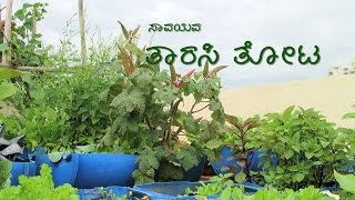 Organic Terrace Garden - Kannada