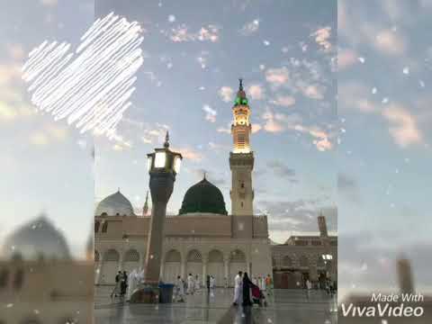 ذكرك بلسم غذى الروح المنشد محمد برنية