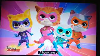 Super Kitty Call Go Birdy Superkitties